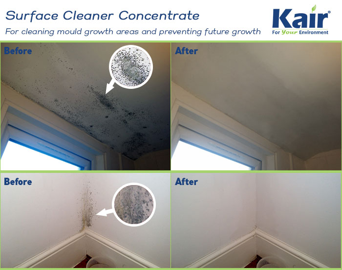 Surface cleaner - Clean black mould off your walls