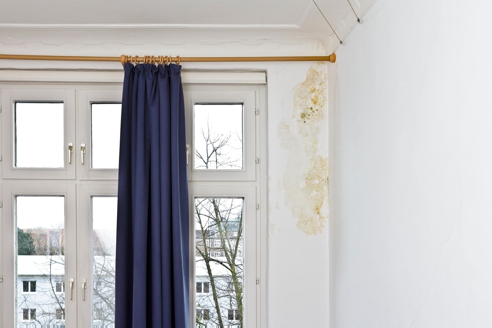 How to Control Mould in Bedroom?
