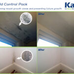 Anti Mould Additive For Emulsion & Gloss Paint - 50 ml