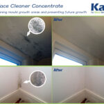 Surface Cleanser Concentrate To Clean Mould Growth Areas