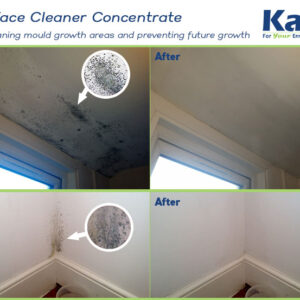 Surface Cleanser Concentrate To Clean Mould Growth Areas