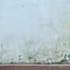What Happens if You Don't Treat Mould in Your Home